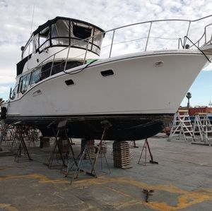 Meet your Posher, Rick